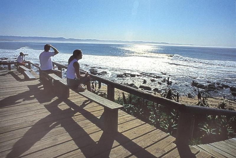 Diaz 15 House On The Bay Hotel Jeffreys Bay Kültér fotó