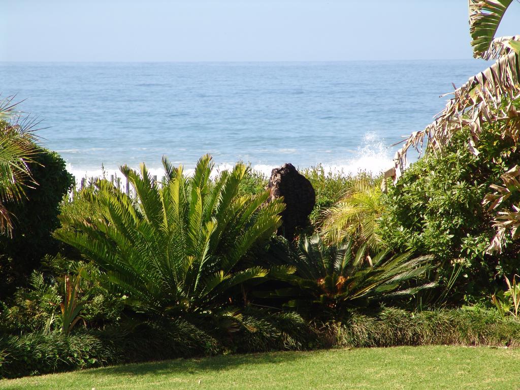 Diaz 15 House On The Bay Hotel Jeffreys Bay Kültér fotó